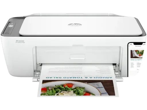 [6W7E6C] HP DeskJet Ink Advantage 2876 All-in-One Printer (6W7E6C)